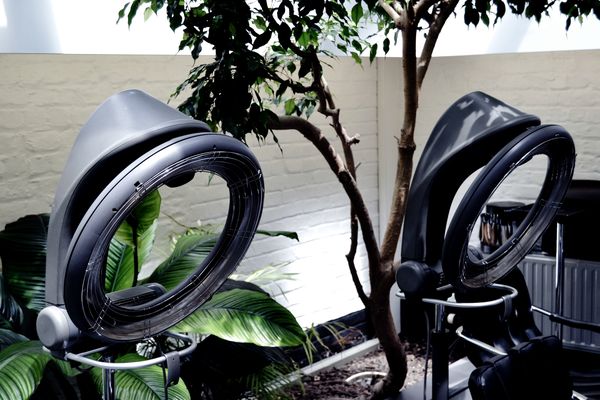 Casques de séchage entourés de plantes dans le salon d’Ixelles